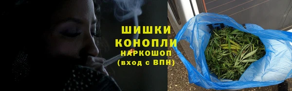 ПСИЛОЦИБИНОВЫЕ ГРИБЫ Алексеевка