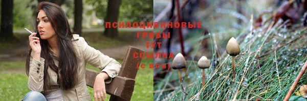 дмт Алзамай
