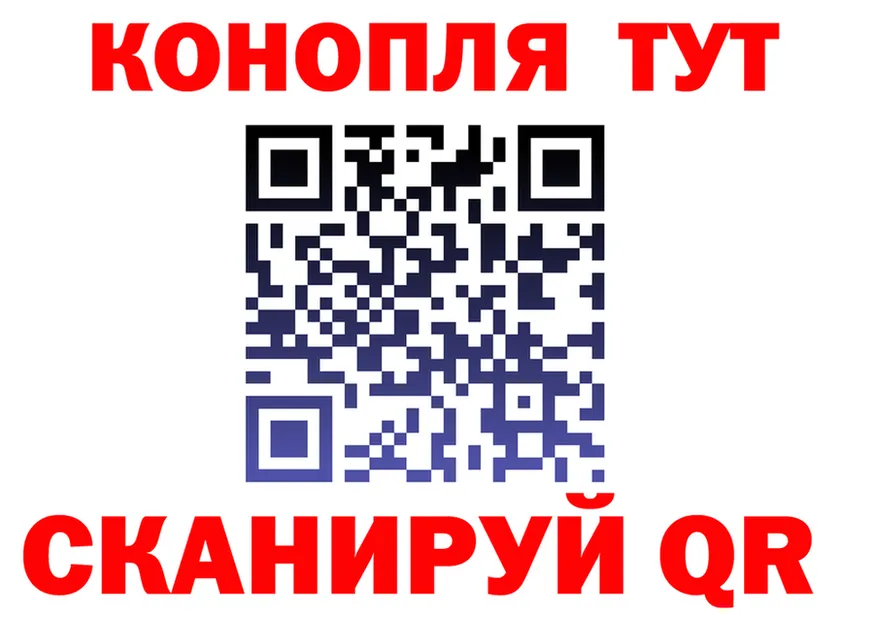 Альфа ПВП СК ТОР площадка omg Нея