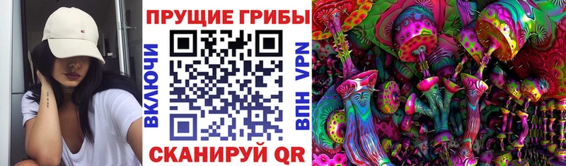 Галлюциногенные грибы Psilocybine cubensis darknet официальный сайт Нея